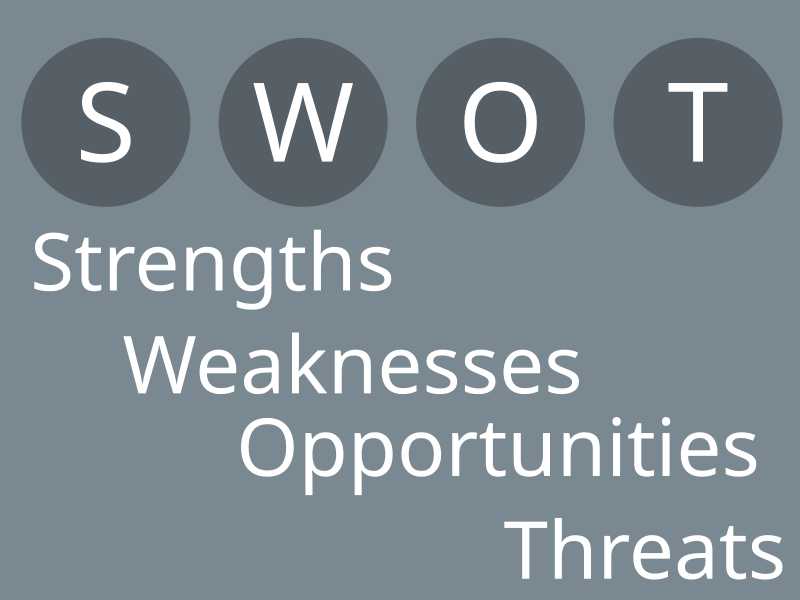 SWOT Analysis of City Council Leadership Roles and Functions